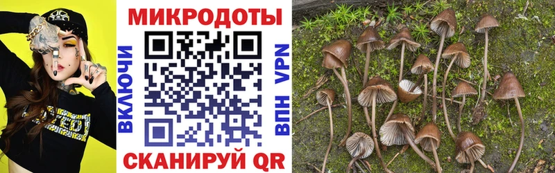 Псилоцибиновые грибы MAGIC MUSHROOMS  hydra ССЫЛКА  Темников 